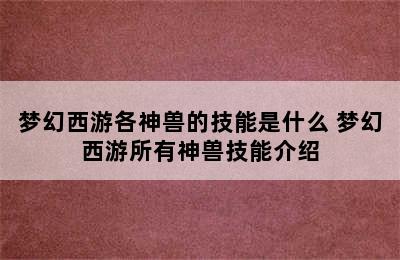 梦幻西游各神兽的技能是什么 梦幻西游所有神兽技能介绍